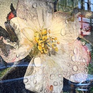 Meet your Posher, Julia